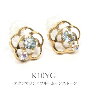 ANA} u[[Xg[ sAX K10YG 10k 10 CG[ S[h JA  yv[g Mtgz 