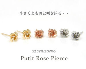 o KN sAX K10YG/PG/WG 10k 10 v` yv[g Mtgz 