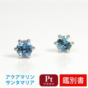 T^}A ANA} sAX 2.5mm Pt900 v`i yJ[hӕʏtz yv[g Mtgz 