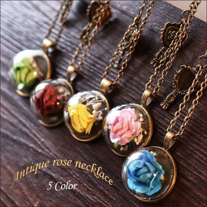 OlbNX h[^fUClbNXy_gEv[gEoEԁEAeB[NEKNES[hE`[ ̓