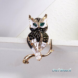 Xg[s u[` tNEu[` Xg[Nbv XJ[t ӂ낤  Mtg v[g S[h O[AC  ̓ hV̓ Ǝ w JWA [