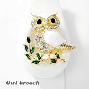 u[` Xg[s zCgӂ낤u[` S[h F  zCg  ̓ hV̓ Ǝ w JWA [֑