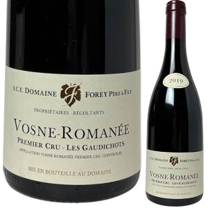 [2019] H[kE}l 1erEcru ES[fBV@h[kEtH mVosne Romanee 1er Cru Les Gaudichots@Domaine Forey Pere et Fils] C ԃC