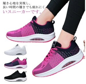 p fB[X y 50 D^ i[XV[Y ɂ _CGbgV[Y Ōt  EH[LOV[Y ƌC  wlC 20 30 40 Xj[J[