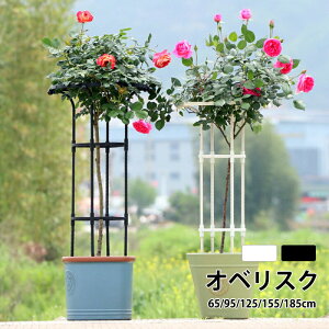 ガーデニング用支柱 オベリスク 支柱 トレリス 操作簡単 金属製 簡易組立式 つる性植物 アサガオ バラ ガーデン 支柱 花支え 花 薔薇 庭 誘引 植物サポート オベリスクアーチ プランター お
