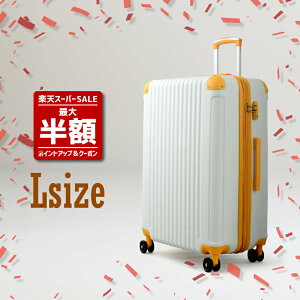 SiP10{SS艿iN[|e튮 sOtBht X[cP[X FK1212-1 LTCY yeʃAbvEz L[P[X  킢 ^ TCY t@