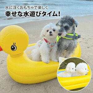 ybg ɕ C V C 킢 SS v[