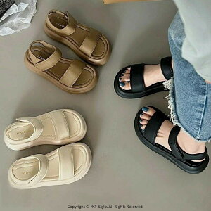 RtH[gT_ T_ fB[X T_ }WbNe[v  X|[cT_ Xgbv  Ȃ ₷ RtH[g L b y^R obNxg 