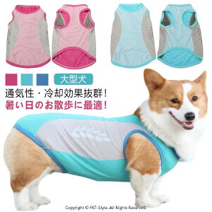 y8XL-11XLz   N[ EFA G炵  G炷 bV ⊴ Ђ u p CM  ĕ ^ ^Ngbv ybgEFA p xXg N[xXg MǑ΍ 