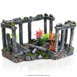  IuWF _a   ANAE I[ig B CeA u 