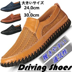 JV hCrOV[Y {v T_ YC bV U[V[Y [t@[ AEghA JWAV[Y [Jbg RtH[g Xb|V[Y ʋC vC j