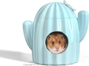 nX^[ nEX T{e^ B Z~bN 킢  K NbVt 傫 L/STCY