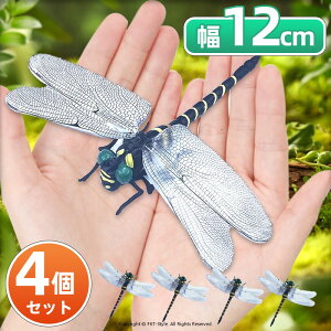 Ij} ɂ  12cm {TCY I悯Ij} ΍ tBMA A x    ͌^ 悯 g{ oR Lv ނ ߕ   Sst Xg
