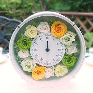 Ԏv ZN O[ vU[uht[ Mtg Ԏv uU[ht[ t[Mtg uU[uht[ v[g ̓ a j oYj Vzj O[ 