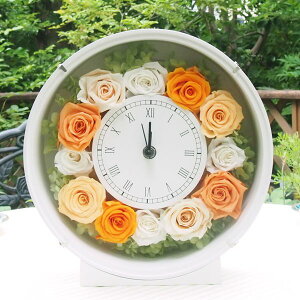 Ԏv ZN IW vU[uht[ Mtg Ԏv uU[ht[ t[Mtg uU[uht[ v[g ̓ a j oYj Vzj IW 