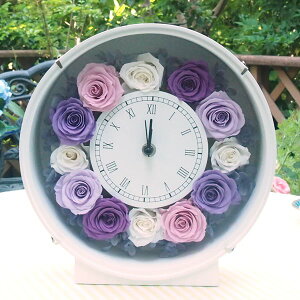 Ԏv ZN BI vU[uht[ Mtg Ԏv uU[ht[ t[Mtg uU[uht[ v[g ̓ a j oYj Vzj TL 