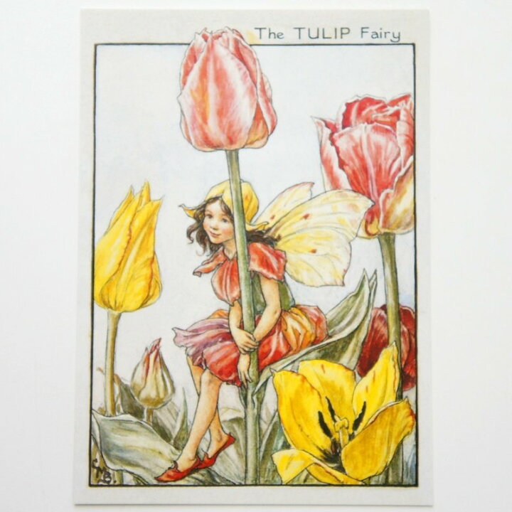 楽天市場 フラワーフェアリーズ ポストカード The Tulip Fairy フラワーフェアリーズ ポストカード 花の妖精たち 絵葉書 チューリップの妖精 プリザーブドフラワーフルールサラ