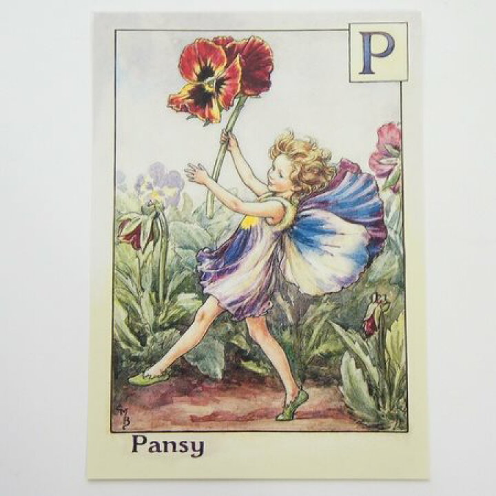 楽天市場】フラワーフェアリーズ ポストカード The Pansy Fairy 