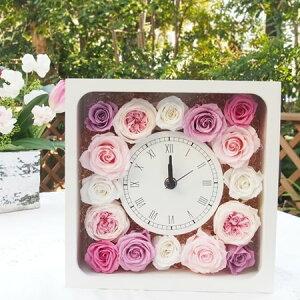 Ԏv GKg[U vU[uht[ Mtg Ԏv uU[ht[ t[Mtg uU[uht[ v[g ̓ a j oYj Vzj sN v