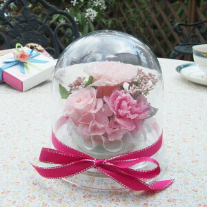 yz vU[uht[ h[ P[X J[l[V o KN uU[ht[ AW a ̓ j  v[g Mtg bsO bZ[WJ[