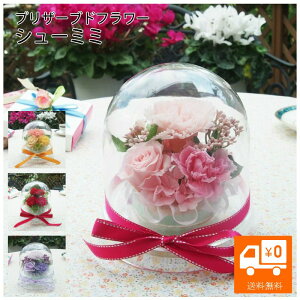 xĂ߂ˁy̓z vU[uht[ h[ P[X J[l[V o uU[ht[ AW a v[g Mtg V[ECG uU[uht[