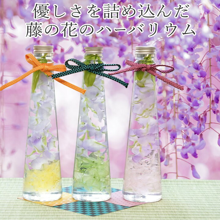 楽天市場 ハーバリウム 桜 藤の花 母の日 早割 スイーツ ギフト プレゼント 選べる2本セット ３本セット 送料無料 退職 祝電 ハーバーリウム 人気 ドライフラワー プリザーブドフラワー 誕生日 結婚祝い 歓送迎会 桜 Led あす楽 60代 女性 プリザーブドフラワー