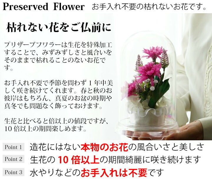 楽天市場 仏花 プリザーブドフラワー 一対 お供え お花 お悔やみ お彼岸 仏壇 枯れない お盆 菊 ペット ブリザードフラワー 仏花ドーム季久花 プリザーブドフラワーフルールサラ