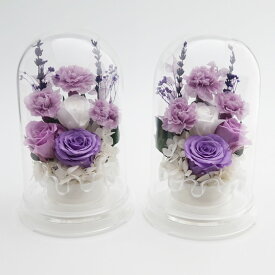 プリザーブドフラワー 仏花 一対 お供え 【週末も即日】 お悔やみ 供花 お花 仏壇 枯れない 花 ガラスドーム 喪中見舞い 一周忌 四十九日 お悔やみ 仏壇 仏壇用 仏壇用仏花 お盆 新盆 初盆 お彼岸 法事 ペット 線香 セット おしゃれ ブリザードフラワー 仏花ドーム永咲