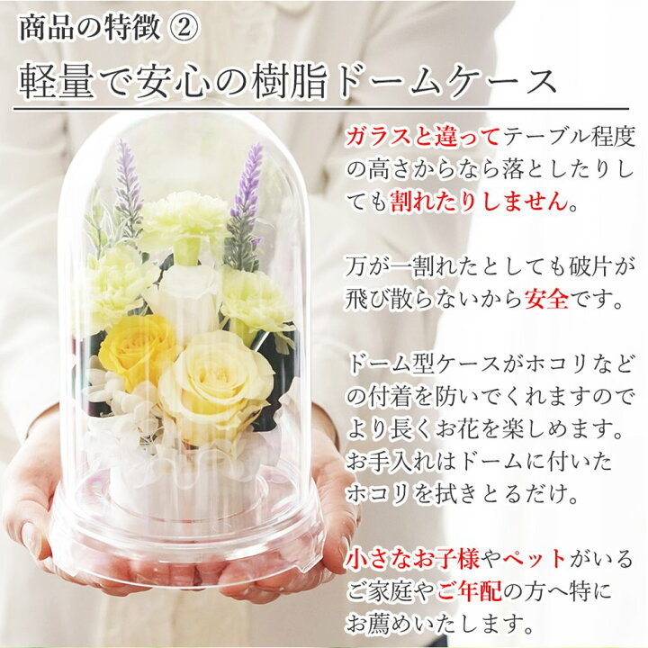 楽天市場】仏花 プリザーブドフラワー 一対可 お供え【あす楽】 お悔やみ 供花 お花 仏壇 枯れない 花 一周忌 四十九日 お悔やみ 仏壇 仏壇用 喪中見舞い お盆 新盆 初盆 お彼岸 法事 ペット 線香 セット ブリザードフラワー 仏花ドーム永咲 : プリザーブドフラワー ... 楽天市場】仏花 プリザーブドフラワー 一対可 お供え【あす楽】 お悔やみ 供花 お花 仏壇 枯れない 花 一周忌 四十九日 お悔やみ 仏壇 仏壇用 喪中見舞い お盆 新盆 初盆 お彼岸 法事 ペット 線香 セット ブリザードフラワー 仏花ドーム永咲 : プリザーブドフラワー ...