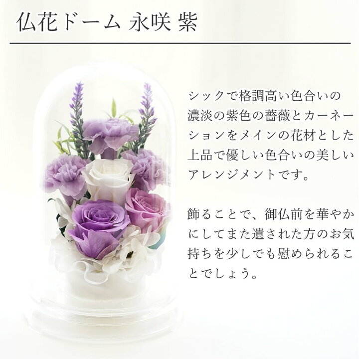 楽天市場 仏花 プリザーブドフラワー 一対可 お供え あす楽 お悔やみ 供花 お花 仏壇 枯れない 花 一周忌 四十九日 お悔やみ 喪中見舞い お盆 新盆 初盆 お彼岸 法事 ペット 線香 セット ブリザードフラワー 仏花ドーム永咲 プリザーブドフラワーフルールサラ