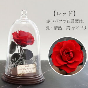 vU[uht[ Ɩb o NX}Xv[g a v[g Ԃo O  Mtg LO LO v|[Y    {   Ȃ 