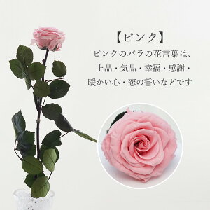 vU[uht[ av[g Ԃo O  Mtg LO LO o ԑ v|[Y    {   Ȃ ޏ Fl e  sN KN 