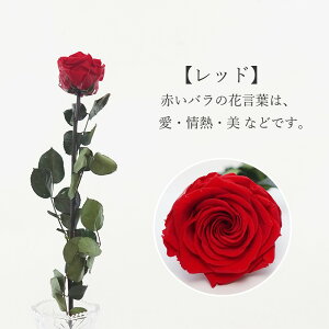 vU[uht[ av[g Ԃo O  Mtg LO LO o ԑ v|[Y    {   Ȃ ޏ Fl e  sN KN 