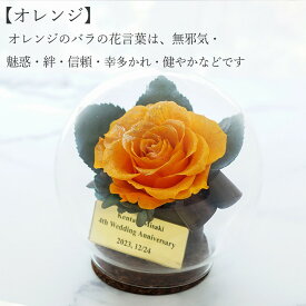 プリザーブドフラワー 誕生日 プレゼント 名前入り 名入れ ギフト 薔薇 母の日 退職祝い 結婚記念日 記念日 ガラスドーム おしゃれ 女性 一輪 妻 母親 祖母 赤 ピンク 薔薇 退職 送別 卒業 お祝い ダイヤモンド ローズ プレスィユー ドーム