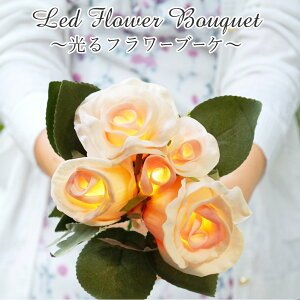 LED t[u[P ̓   u[P  Mtg VIA-K  i LEDt[ u[P v[g a j oYj LO [Y `[bv J[  a