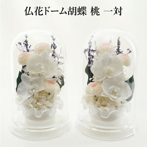 vU[uht[  h[ P[X Ӓ       d ͂Ȃ  r  l\  d dp ~ V~ ~ ފ @ 