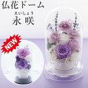 プリザーブドフラワー 仏花 一対 お供え 【週末も即日】 お悔やみ 供花 お花 仏壇 枯れない 花 ガラスドーム 喪中見舞…