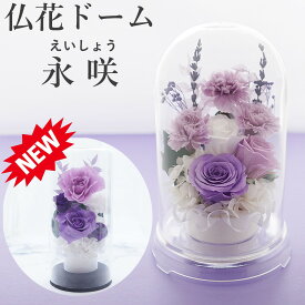 プリザーブドフラワー 仏花 一対 お供え 【週末も即日】 お悔やみ 供花 お花 仏壇 枯れない 花 ガラスドーム 喪中見舞い 一周忌 四十九日 お悔やみ 仏壇 仏壇用 仏壇用仏花 お盆 新盆 初盆 お彼岸 法事 ペット 線香 セット おしゃれ ブリザードフラワー 仏花ドーム永咲