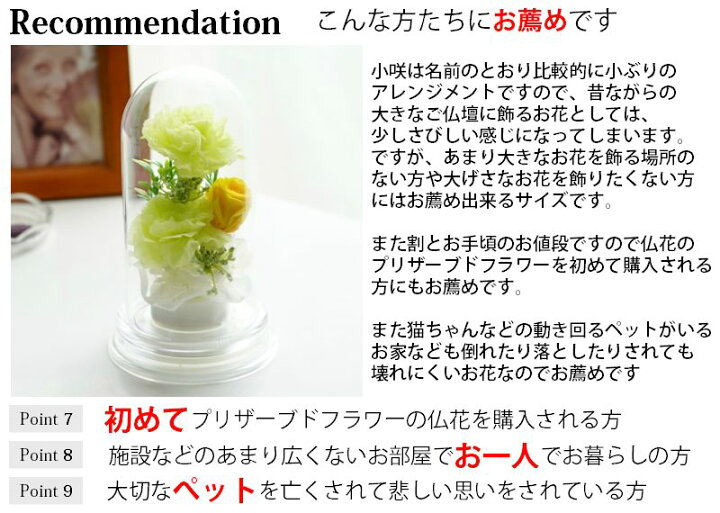 楽天市場 プリザーブドフラワー 仏花 一対 ミニ お供え あす楽 お花 お悔やみ 喪中 仏壇 枯れない ドーム ケース入り ブリザードフラワー アレンジ 仏花ドーム小咲 プリザーブドフラワーフルールサラ