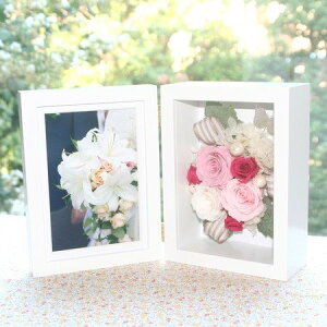 A sN vU[uht[ Mtg uU[ht[ t[Mtg uU[uht[ j sN ʐ^