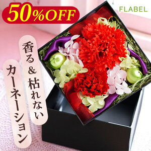 ͂Ȃ vU[uht[ \[vt[ Prienjou {bNXt[  J[l[V  a v[g   ` ͂Ȃ  uU[ht[ Mtg t[