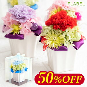 vU[uht[ sbRJ[l NAP[X ͂Ȃ  Mtg AWg  j v[g  c 60 70 80 ΂  uU[ht[ Mtg 