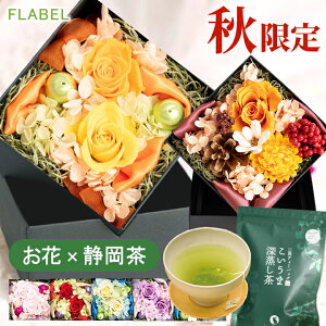 zB vU[uht[ {bNXt[ AeBGbg  ȂΉ Zܐ[ MtgZbg  a v[g e c  Ď j a  җj o