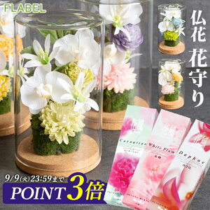 yP3{15YŒZzBzKXh[ AW Ԏ vU[uht[   Zbg  ފ    蕨  dp  49 @v 