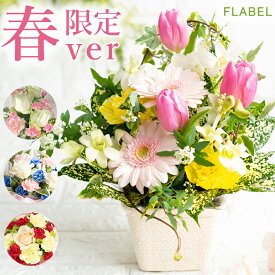 【あす楽】母の日 カーネーション フラワーアレンジメント 選べる花色 Choice お祝い ははの日 花 アレンジメント フラワー 生花 hahanohi フラワーギフト 誕生日 プレゼント 女性 母 祖母 バラ 薔薇 お花 おしゃれ 母の日ギフト 2024 花 結婚記念日 妻 両親 還暦祝い