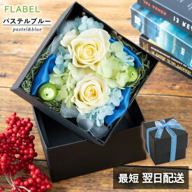 【あす楽16時】母の日 プリザーブドフラワー ボックスフラワー Antietto ははの日 花 カーネーション 誕生日 プレゼント 女性 母 女友達 妻 おしゃれ フラワーボックス 退職祝い 送別会 還暦祝い お祝い お花 お見舞い 母の日ギフト ブリザードフラワー ギフト hahanohi