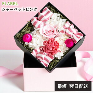 zB vU[uht[ {bNXt[ Mtg Antietto  a v[g   e c  j ސEj җj Ď j P j o  LO u