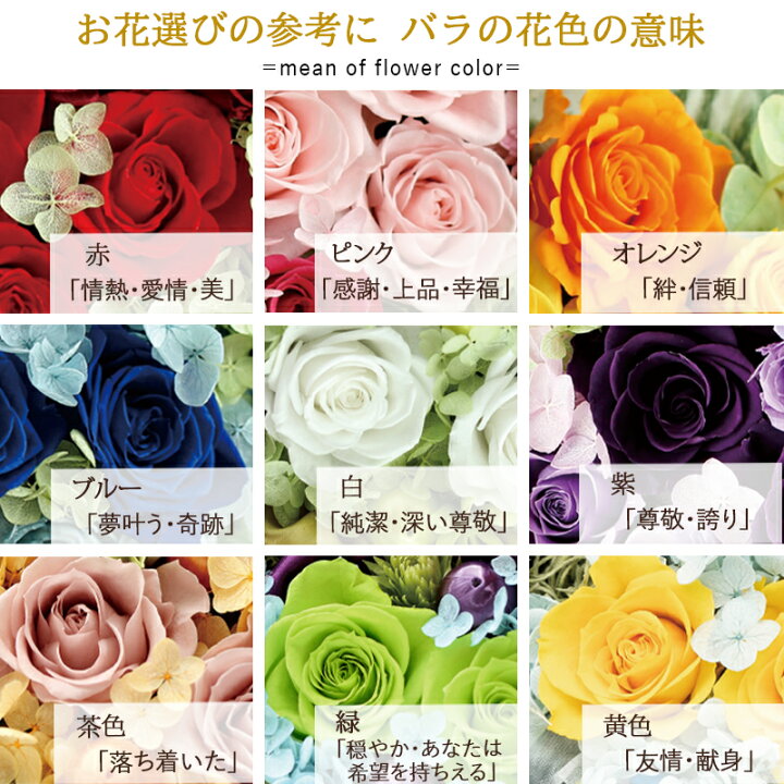楽天市場 最短翌日お届け プリザーブドフラワー ボックスフラワー Antietto 母の日 カーネーション 花 誕生日 プレゼント 女性 母 祖母 女友達 おしゃれ フラワーボックス 春 入学祝い 卒業祝い 定年 退職祝い お花 お祝い 結婚記念日 還暦祝い ブリザードフラワー