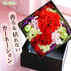 yy15YŒZzBz͂Ȃ vU[uht[ \[vt[ Prienjou {bNXt[  J[l[V  a v[g   ` ͂Ȃ  uU