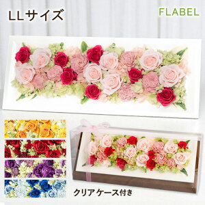 vU[uht[ Liaison Ǌ| P[X t[ o j  j  LO ސEj a v[g  e c  e uU[ht[ Mtg JXj